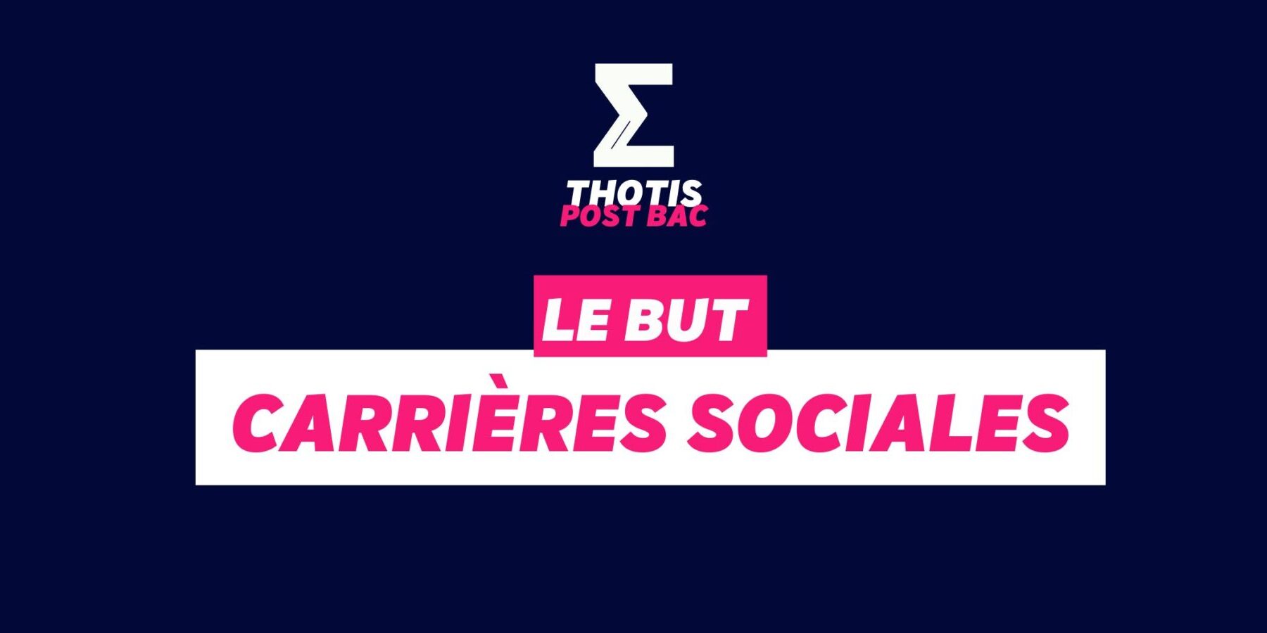 BUT carrière sociale