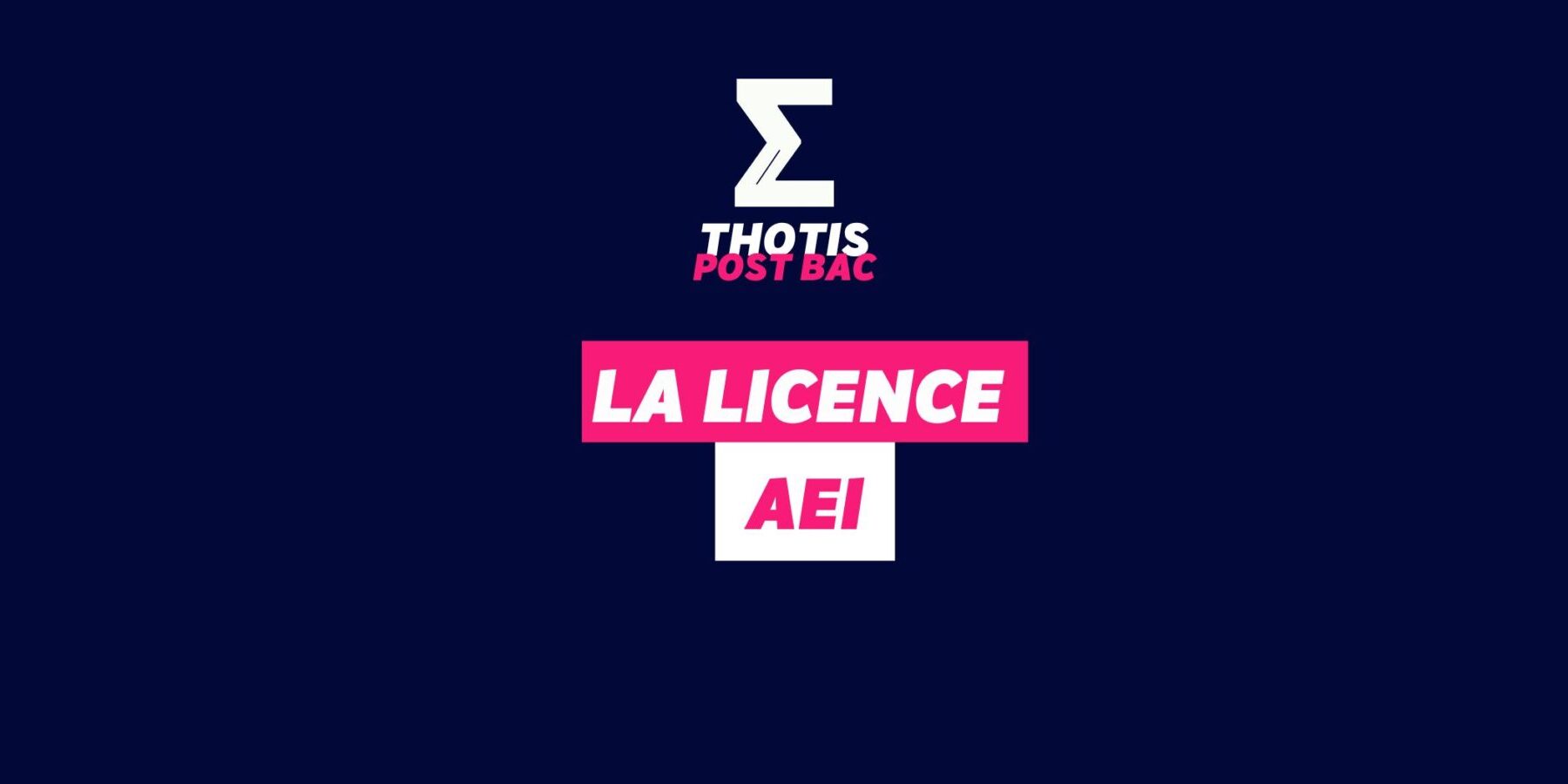 Licence AEI
