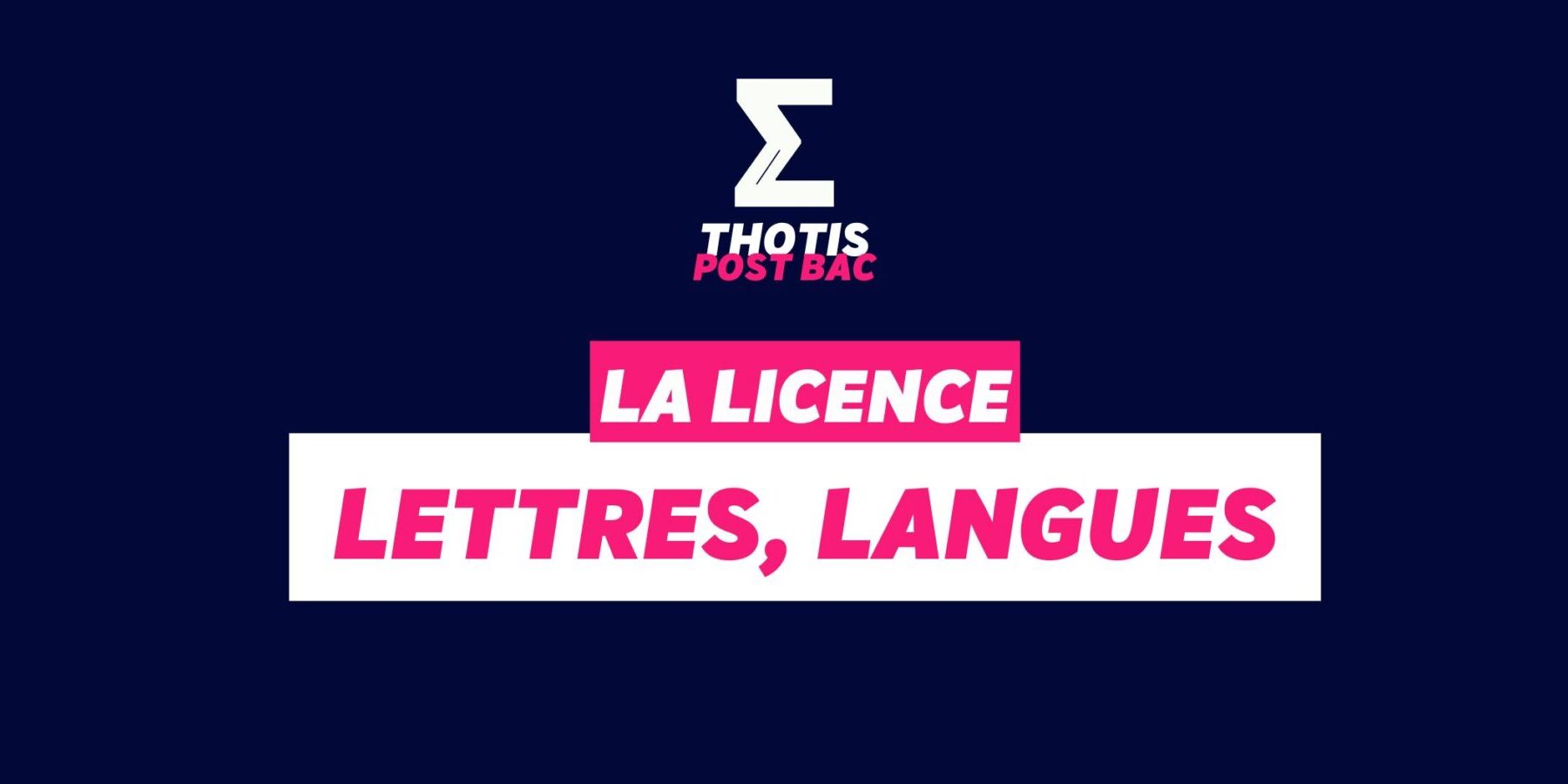 Licence Lettres, Langues
