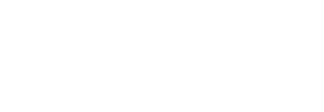 LOGO MEDIBO BLANC